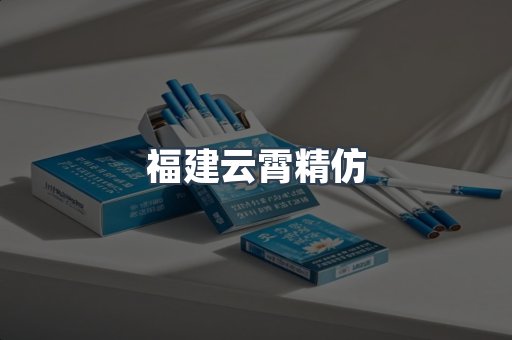 福建云霄精仿